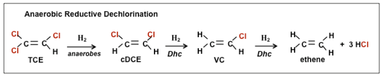 anaerobic reductive dechlorination formula