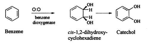 Benzene degradation formula